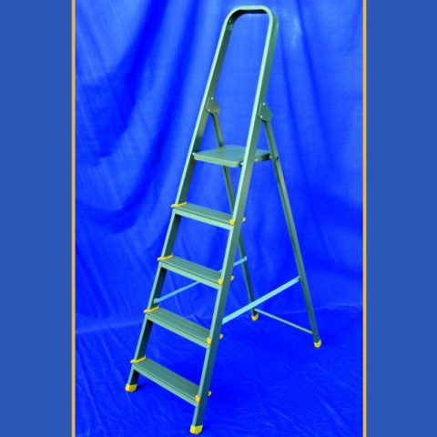 Pintado – Domésticos